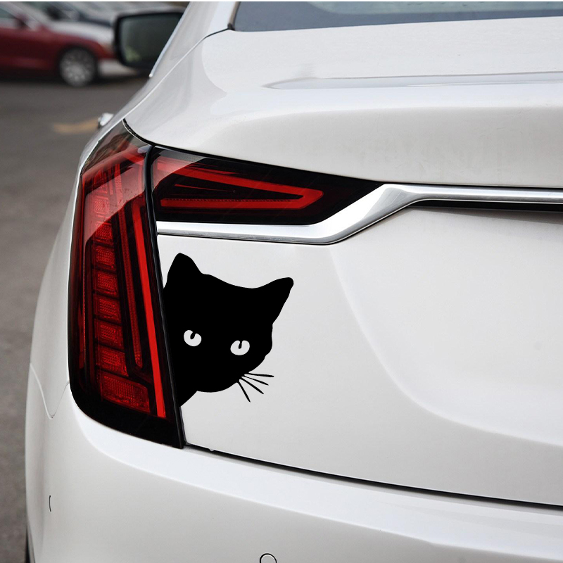 Car interior stickers black/wh - Laser Controller Board reseña y precio